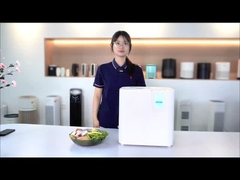 ห้องครัวไร้กลิ่น ใช้เครื่องปลูกขยะอาหารขนาดใหญ่